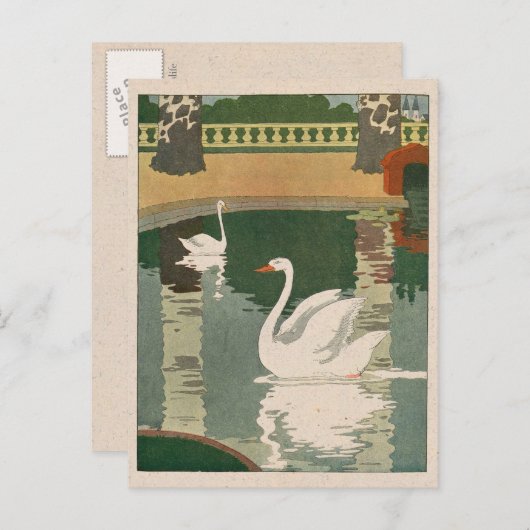 Zwans op het Castle Lake Briefkaart (Voorkant / Achterkant)