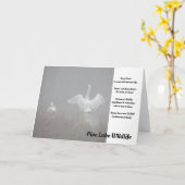 Zwans op het Pijnmeer Kaart (Gele Bloem)