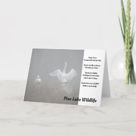 Zwans op het Pijnmeer Kaart