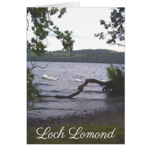 Zwans op Loch Lomond