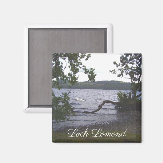 Zwans op Loch Lomond Magneet (Voorkant / Achterkant)