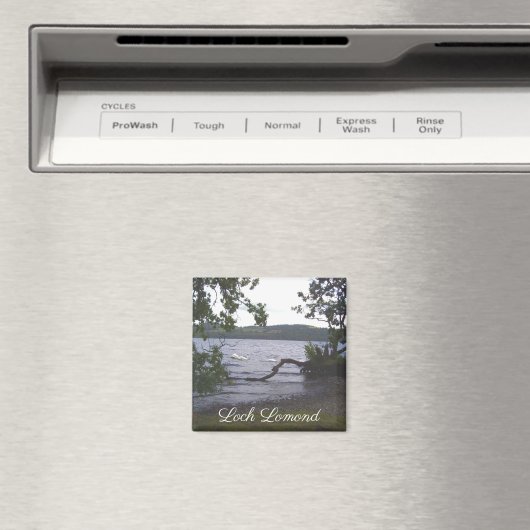 Zwans op Loch Lomond Magneet (Insitu (Vaatwasser))