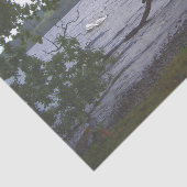 Zwans op Loch Lomond Tissuepapier (Detail)