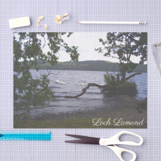 Zwans op Loch Lomond Tissuepapier (Craft)