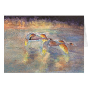 Zwans Verwarmd thuis op zonsondergang