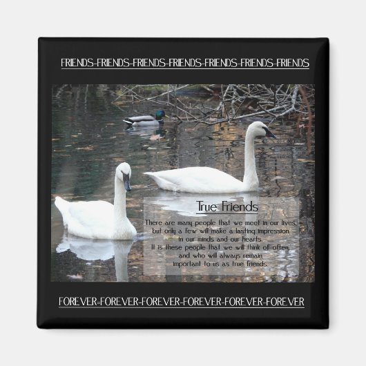 Zwans-ware vrienden magneet (Voorkant)