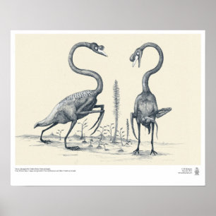 Zwans zoals door de Toekomstige Paleontologen voor Poster