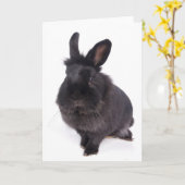 zwar konijn kaart (Gele Bloem)