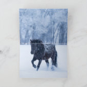 Zwar Paard in de Sneeuw Wenskaart (Binnen)