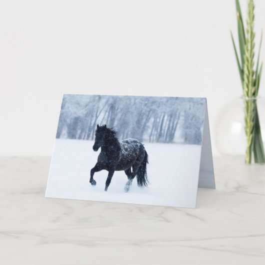 Zwar Paard in de Sneeuw Wenskaart (Voorkant)