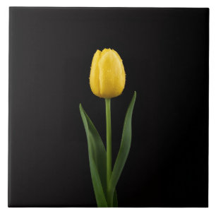 Zwarte 4 Luxe Tegel met Gouden Gele Tulp Tegeltje