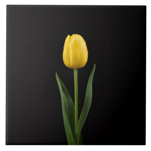 Zwarte 4 Luxe Tegel met Gouden Gele Tulp Tegeltje (Voorkant)