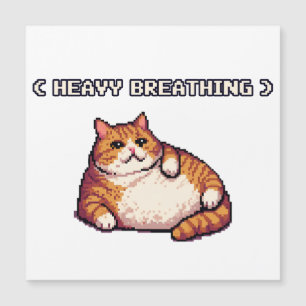Zware ademhaling vet kat meme pixel art