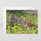 Zware landschap briefkaart (Voorkant / Achterkant)