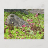 Zware landschap briefkaart (Voorkant)