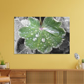 zware regenval canvas afdruk (Insitu (Woonkamer))