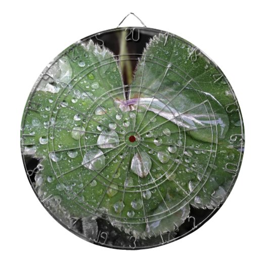 zware regenval dartbord (Voorkant)