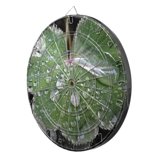 zware regenval dartbord (Voorkant Rechts)