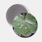 zware regenval magneet (Voorkant / Achterkant)