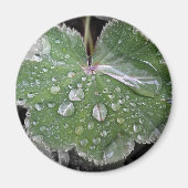 zware regenval magneet (Voorkant)