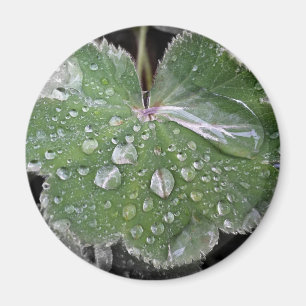 zware regenval magneet