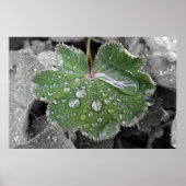 zware regenval poster (Voorkant)