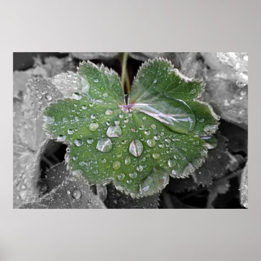 zware regenval poster (Voorkant)