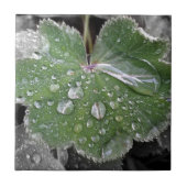 zware regenval tegeltje (Voorkant)