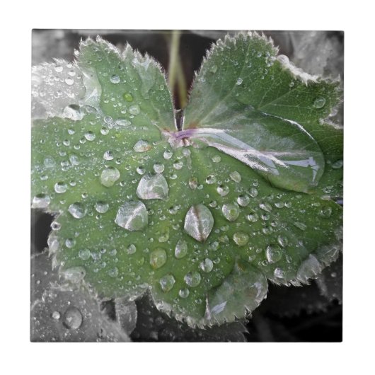 zware regenval tegeltje (Voorkant)