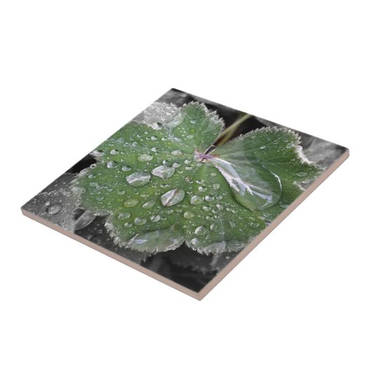 zware regenval tegeltje (Zijkant)