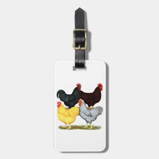 Zware rooster Chicken Quartet Bagagelabel (Voorkant verticaal)