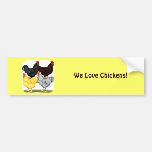Zware rooster Chicken Quartet Bumpersticker (Voorkant)
