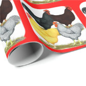Zware rooster Chicken Quartet Cadeaupapier (Rol Hoek)