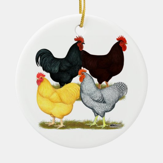 Zware rooster Chicken Quartet Keramisch Ornament (Voorkant)