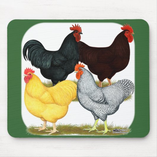 Zware rooster Chicken Quartet Muismat (Voorkant)
