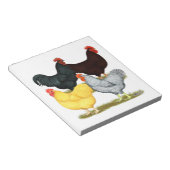 Zware rooster Chicken Quartet Notitieblok (Schuin)