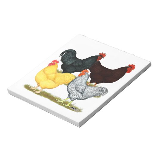 Zware rooster Chicken Quartet Notitieblok (Linkerzijde)