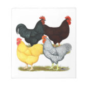 Zware rooster Chicken Quartet Notitieblok (Voorkant)