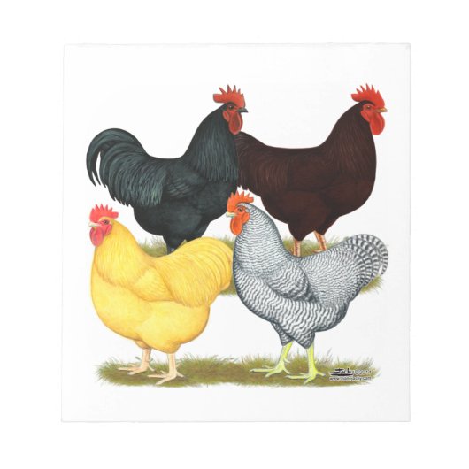 Zware rooster Chicken Quartet Notitieblok (Voorkant)
