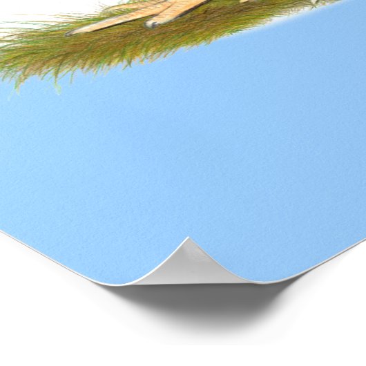 Zware rooster Chicken Quartet Poster (Hoek)