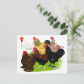 Zware Rooster-evaluatie Briefkaart (Staand voorkant)