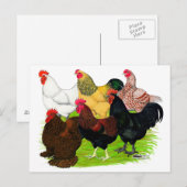 Zware Rooster-evaluatie Briefkaart (Voorkant / Achterkant)