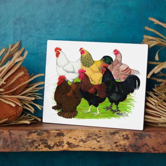 Zware Rooster-evaluatie Fotoplaat (Zijkant)