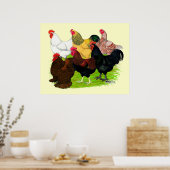 Zware Rooster-evaluatie Poster (Keuken)