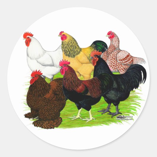 Zware Rooster-evaluatie Ronde Sticker (Voorkant)