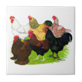 Zware Rooster-evaluatie Tegeltje (Voorkant)