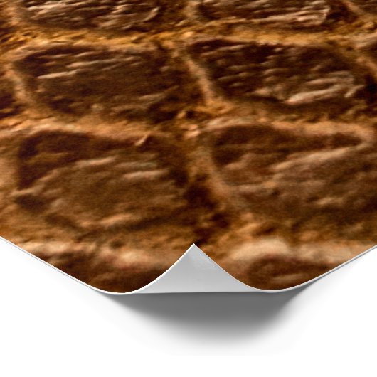 Zware textuur achtergrondbronzen slang letherleath poster (Hoek)