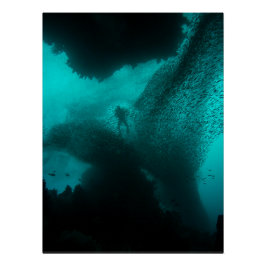 Zwarm van de Diepte – Duiker & Visschool Oceaan Perfect Poster