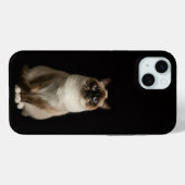 Zwart 4 Luxe, Birmese Kat iPhone 15 Plus Case-Mate iPhone Case (Achterkant (horizontaal))