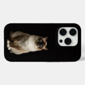 Zwart 4 Luxe iPhone 15 Pro Mat, Birmaanse Kat Case-Mate iPhone Case (Achterkant (horizontaal))